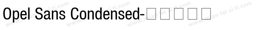 Opel Sans Condensed字体转换